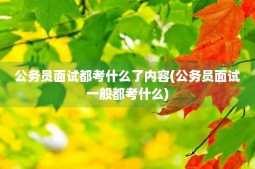 公务员面试都考什么了内容(公务员面试一般都考什么)