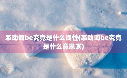 系动词be究竟是什么词性(系动词be究竟是什么意思啊)