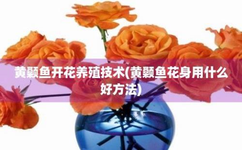 黄颡鱼开花养殖技术(黄颡鱼花身用什么好方法)