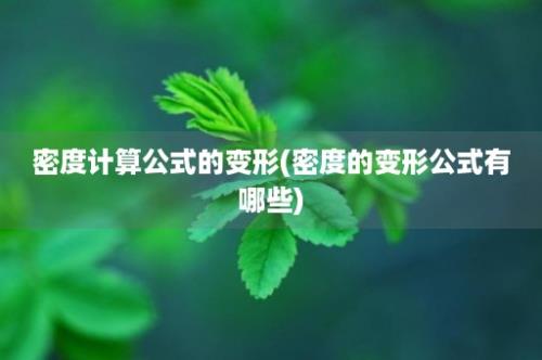 密度计算公式的变形(密度的变形公式有哪些)