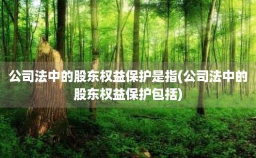 公司法中的股东权益保护是指(公司法中的股东权益保护包括)