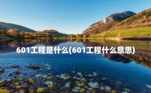 601工程是什么(601工程什么意思)