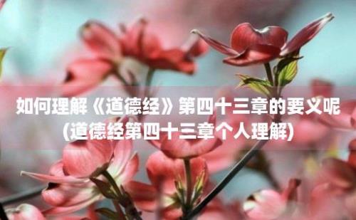 如何理解《道德经》第四十三章的要义呢(道德经第四十三章个人理解)