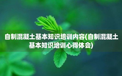 自制混凝土基本知识培训内容(自制混凝土基本知识培训心得体会)