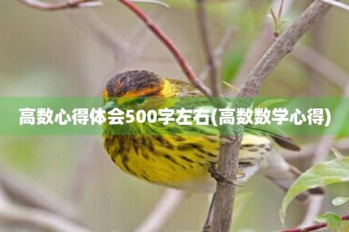 高数心得体会500字左右(高数数学心得)