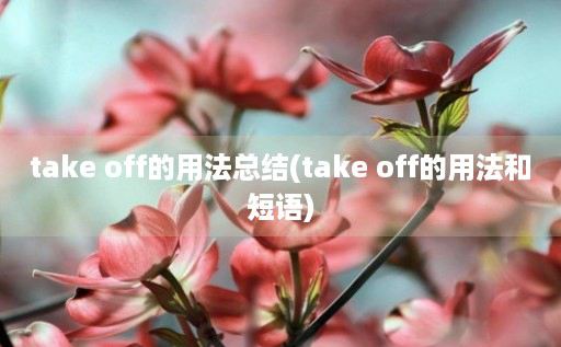 take off的用法总结(take off的用法和短语)