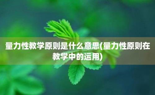 量力性教学原则是什么意思(量力性原则在教学中的运用)