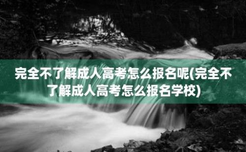 完全不了解成人高考怎么报名呢(完全不了解成人高考怎么报名学校)