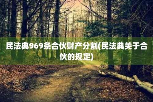 民法典969条合伙财产分割(民法典关于合伙的规定)