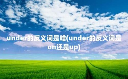 under的反义词是啥(under的反义词是on还是up)