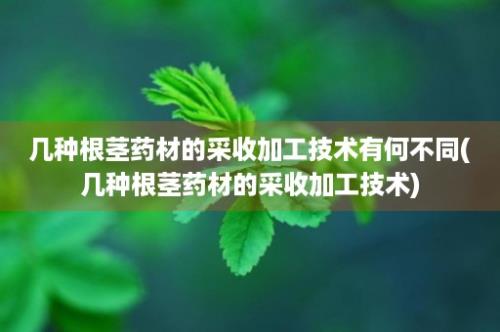 几种根茎药材的采收加工技术有何不同(几种根茎药材的采收加工技术)