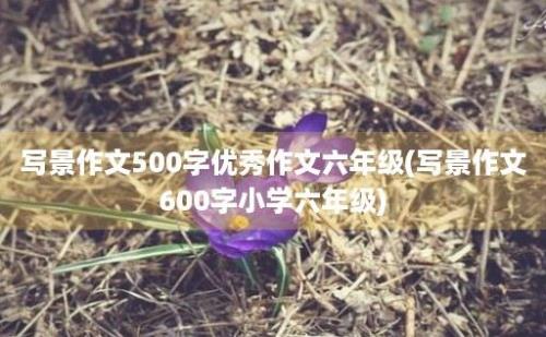 写景作文500字优秀作文六年级(写景作文600字小学六年级)