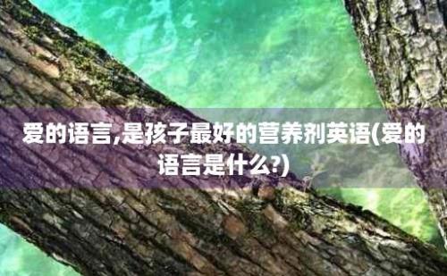 爱的语言,是孩子最好的营养剂英语(爱的语言是什么?)