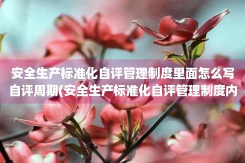 安全生产标准化自评管理制度里面怎么写自评周期(安全生产标准化自评管理制度内容)