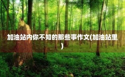 加油站内你不知的那些事作文(加油站里)