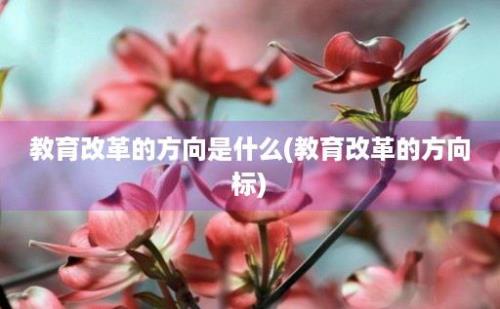 教育改革的方向是什么(教育改革的方向标)