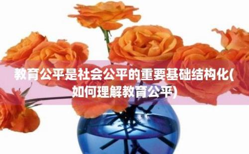 教育公平是社会公平的重要基础结构化(如何理解教育公平)