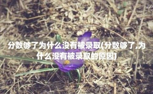 分数够了为什么没有被录取(分数够了,为什么没有被录取的原因)