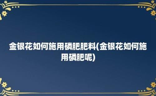 金银花如何施用磷肥肥料(金银花如何施用磷肥呢)