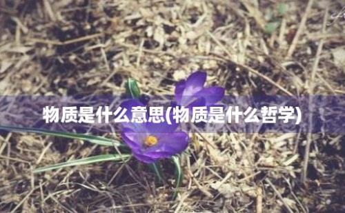 物质是什么意思(物质是什么哲学)