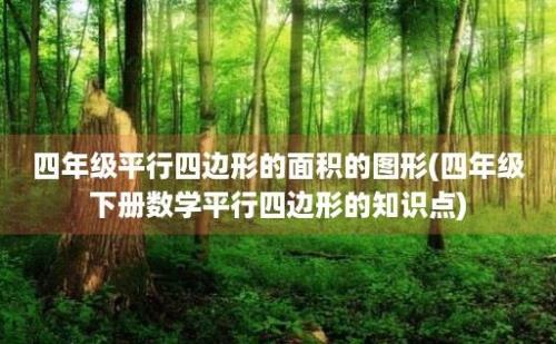 四年级平行四边形的面积的图形(四年级下册数学平行四边形的知识点)