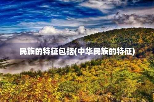 民族的特征包括(中华民族的特征)