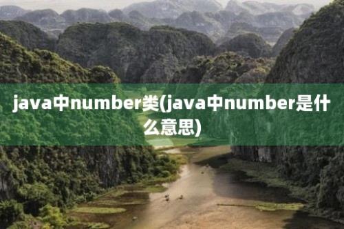 java中number类(java中number是什么意思)