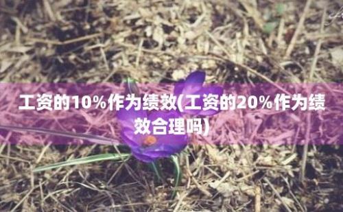 工资的10%作为绩效(工资的20%作为绩效合理吗)