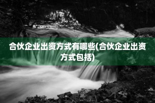 合伙企业出资方式有哪些(合伙企业出资方式包括)