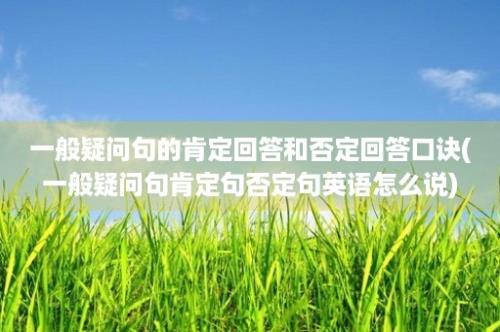 一般疑问句的肯定回答和否定回答口诀(一般疑问句肯定句否定句英语怎么说)