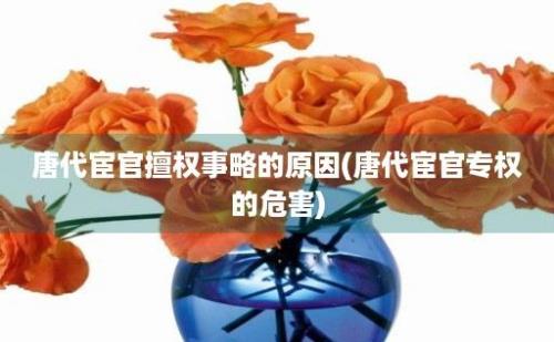 唐代宦官擅权事略的原因(唐代宦官专权的危害)