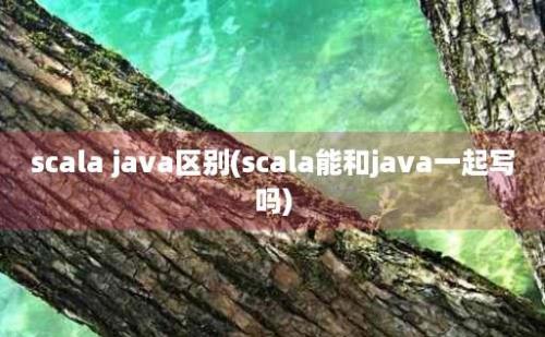 scala java区别(scala能和java一起写吗)