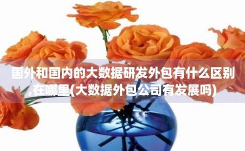 国外和国内的大数据研发外包有什么区别,在哪里(大数据外包公司有发展吗)