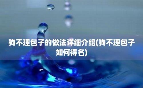 狗不理包子的做法详细介绍(狗不理包子如何得名)