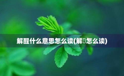 解酲什么意思怎么读(解廌怎么读)