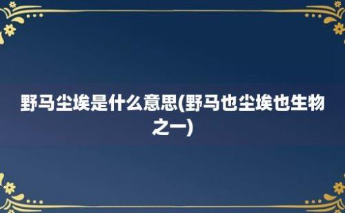 野马尘埃是什么意思(野马也尘埃也生物之一)