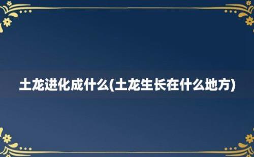 土龙进化成什么(土龙生长在什么地方)