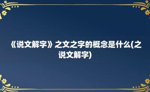 《说文解字》之文之字的概念是什么(之 说文解字)