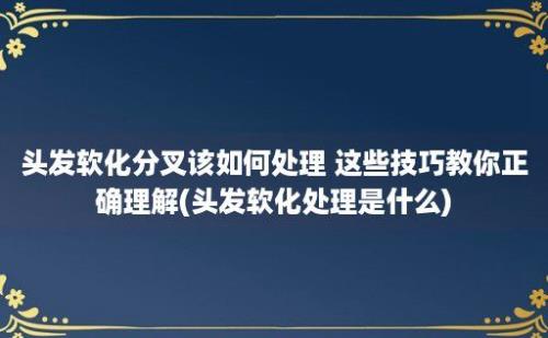 头发软化分叉该如何处理 这些技巧教你正确理解(头发软化处理是什么)