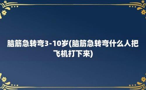 脑筋急转弯3-10岁(脑筋急转弯什么人把飞机打下来)