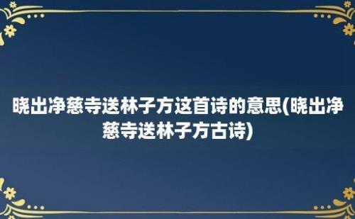 晓出净慈寺送林子方这首诗的意思(晓出净慈寺送林子方古诗)