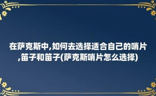 在萨克斯中,如何去选择适合自己的哨片,笛子和笛子(萨克斯哨片怎么选择)