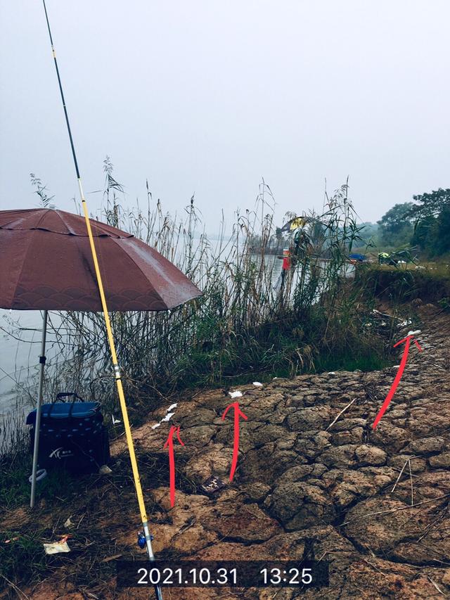 冬天大水面野钓怎么选位置（斜风细雨鏖战团头湖）(8)