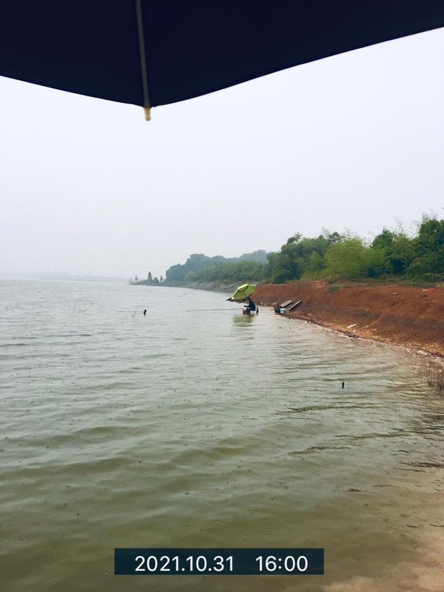 冬天大水面野钓怎么选位置（斜风细雨鏖战团头湖）(11)