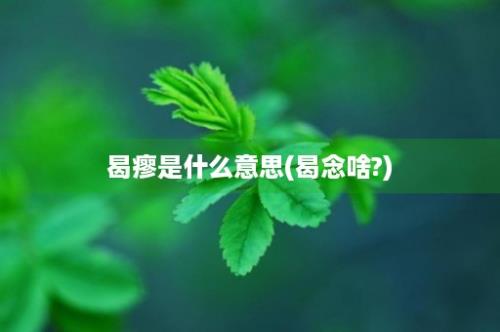 曷瘳是什么意思(曷念啥?)