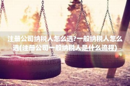 注册公司纳税人怎么选?一般纳税人怎么选(注册公司一般纳税人是什么流程)