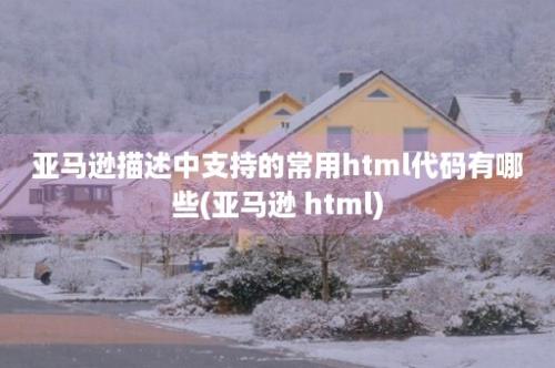 亚马逊描述中支持的常用html代码有哪些(亚马逊 html)