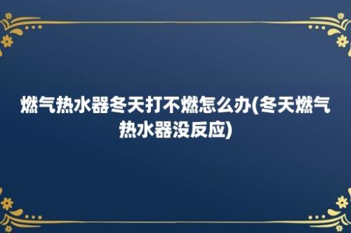 燃气热水器冬天打不燃怎么办(冬天燃气热水器没反应)