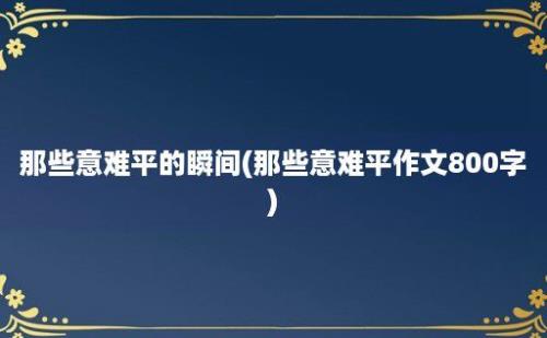 那些意难平的瞬间(那些意难平作文800字)