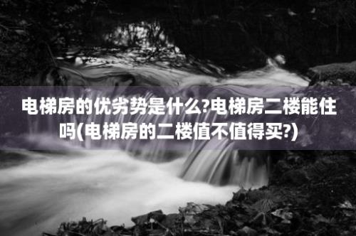 电梯房的优劣势是什么?电梯房二楼能住吗(电梯房的二楼值不值得买?)